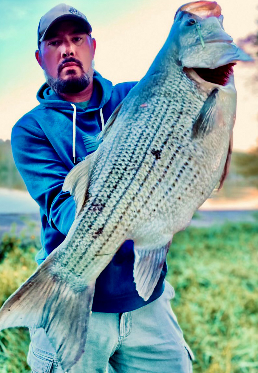 An Ohio angler with a big hybrid striped bass.