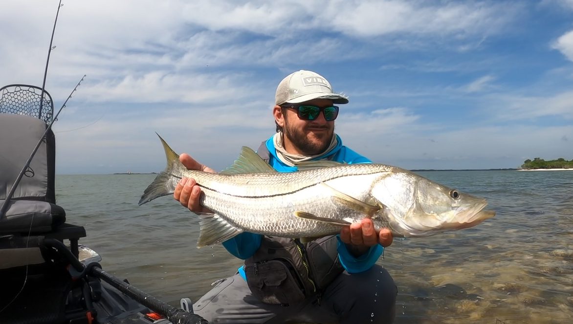 Snook caught while testing inshore spinning reels