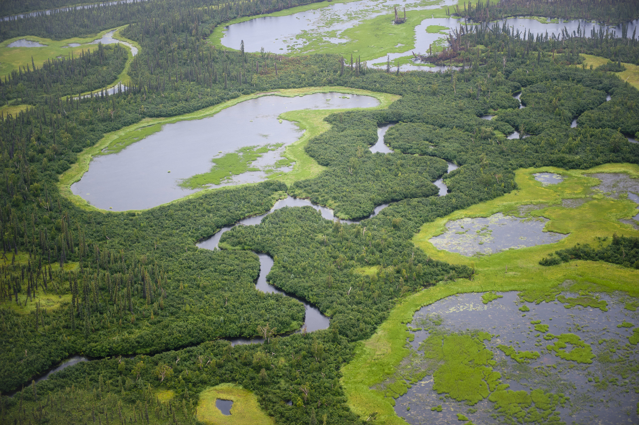 Wetlands near the Kobuk River in Alaska.