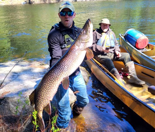 A Minnesota angler with a massive pike.