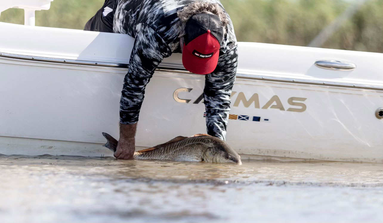 redfish regulations