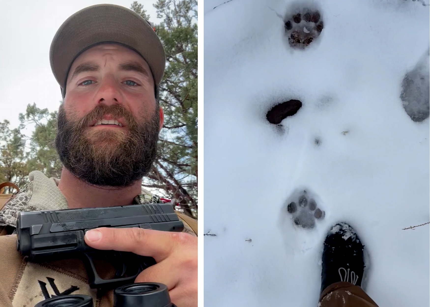 A shed hunter looks at mountain lion tracks in the snow.