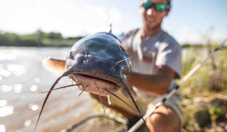 Ugly Stik makes some of the best catfish rod and reel combos