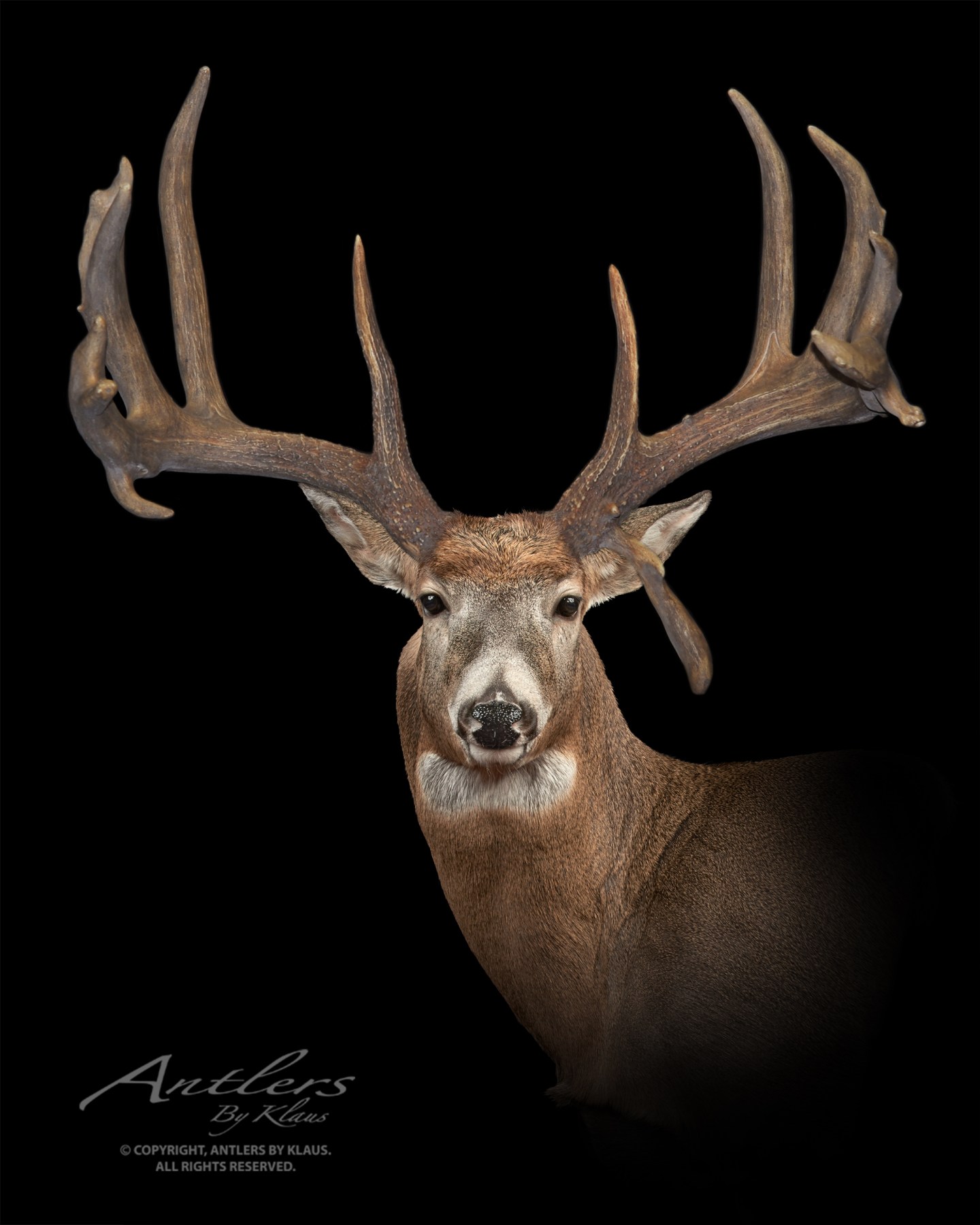 11 Monster Bucks That Are Shrouded in Mystery | Outdoor Life