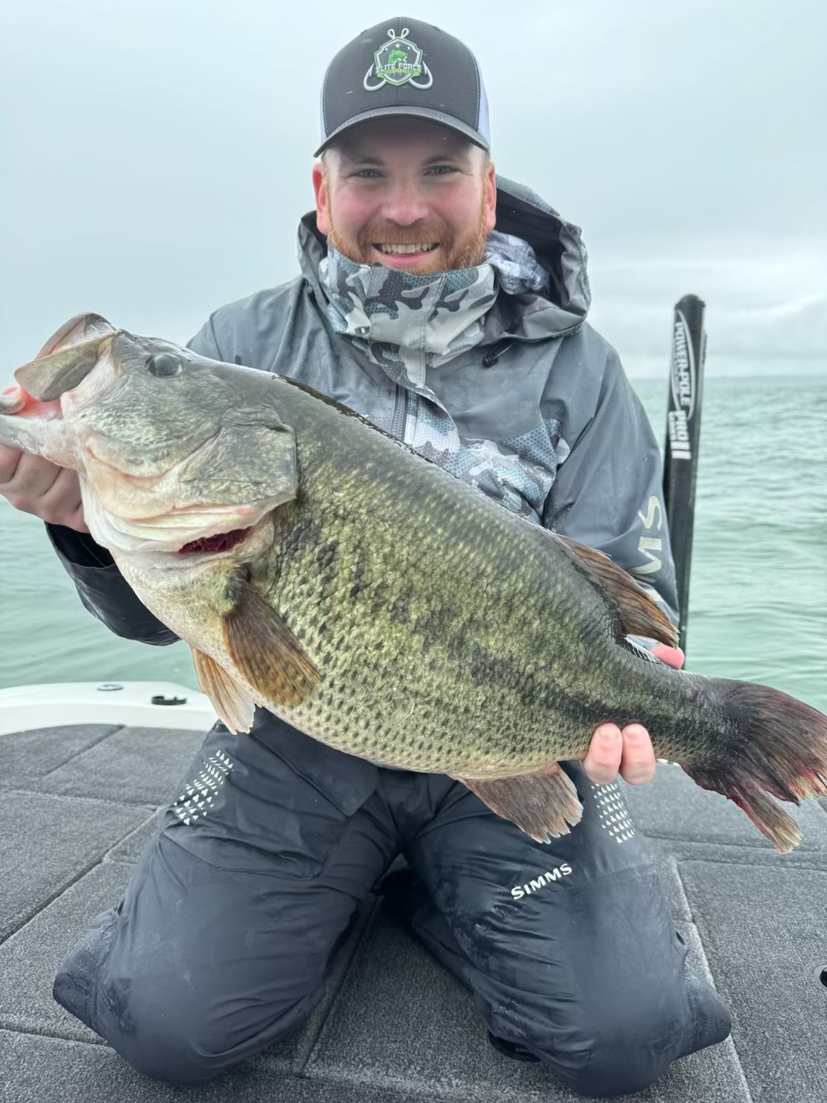 new york record bass