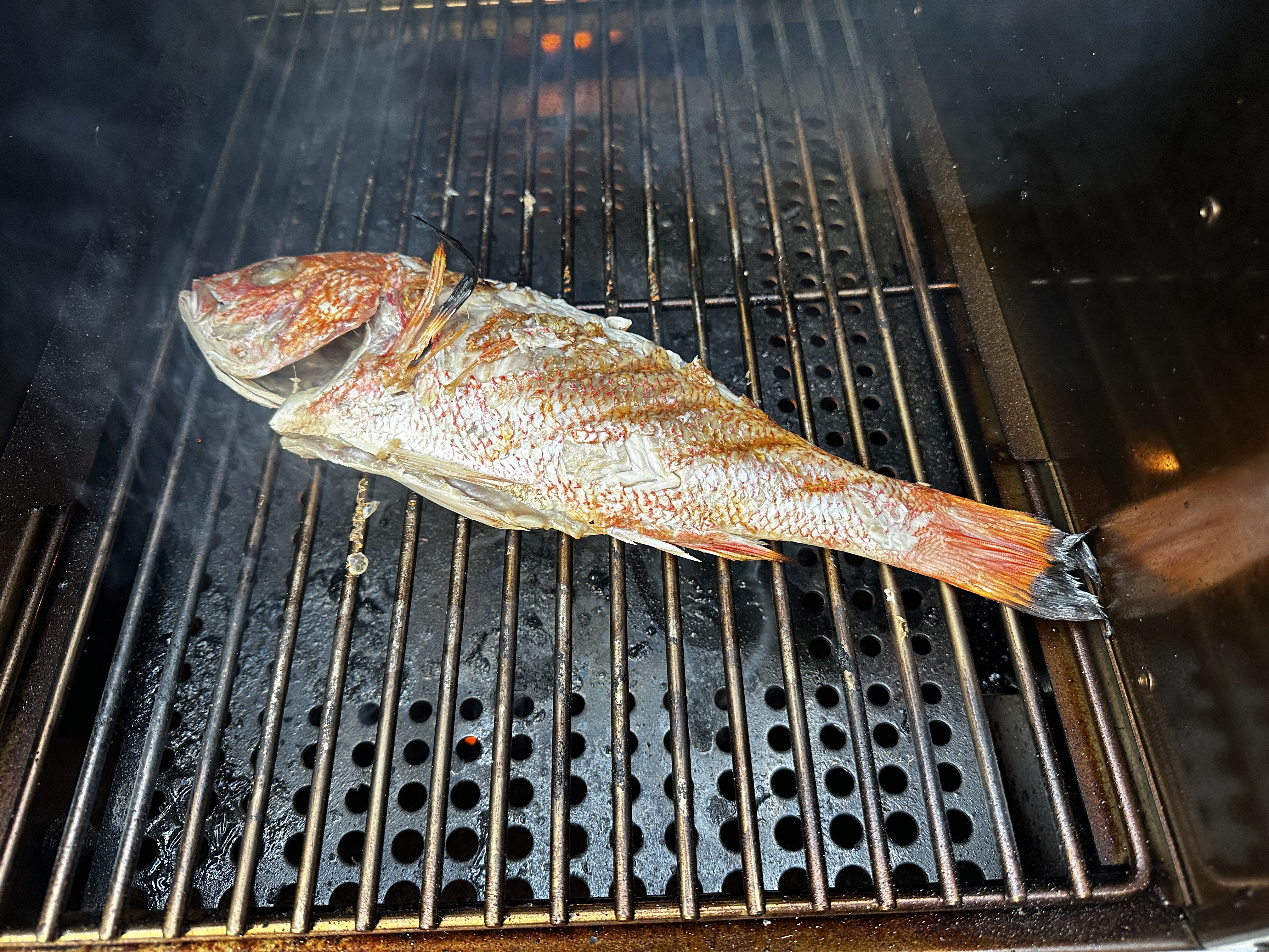 Whole Snapper grilling on the DualFire