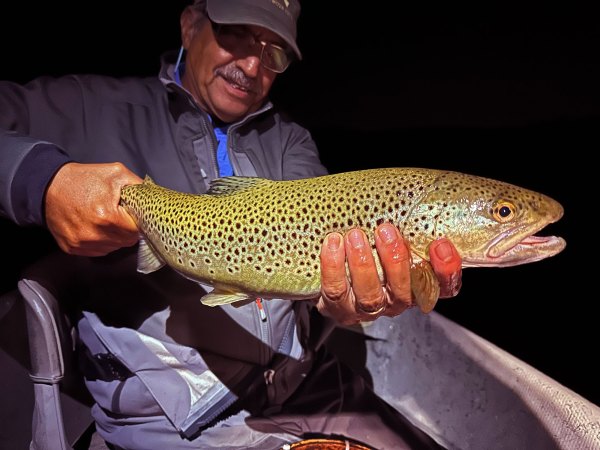 trout fishing at night