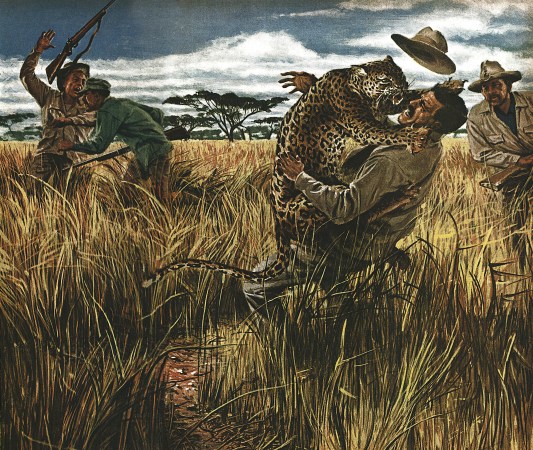 An illustration of a leopard attacking a man while his hat flies off his head.
