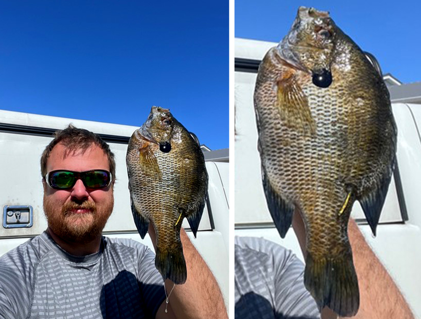 A spearfisherman with a chunky bluegill.