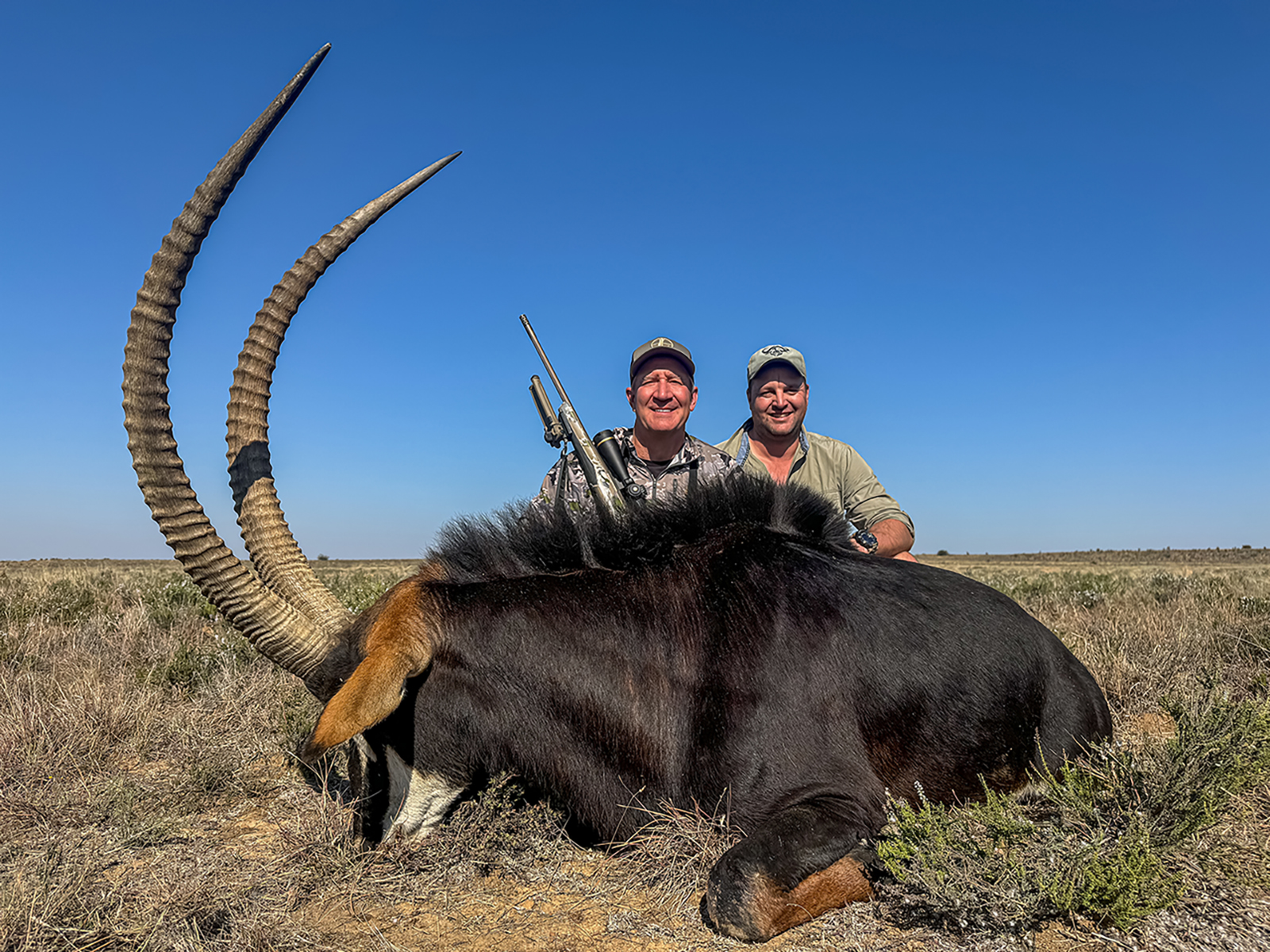 Two hunters sit behind a giant sable