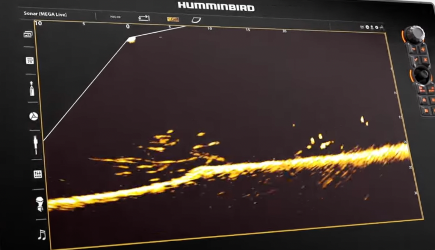 MEGA Live vs LiveScope: What’s the Best Forward Facing Sonar? | Outdoor ...