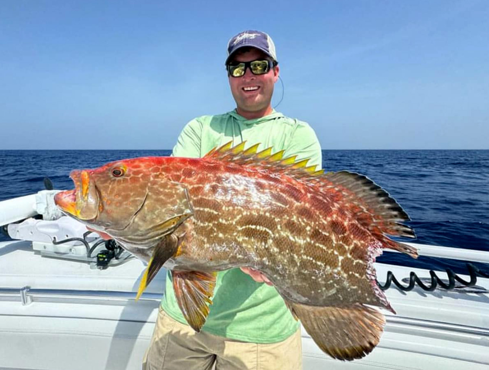 Nearly Half of All Florida Anglers Are Losing Fish to Sharks, Study Shows