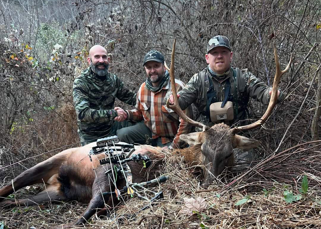 elk hunt