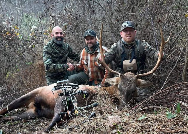 elk hunt