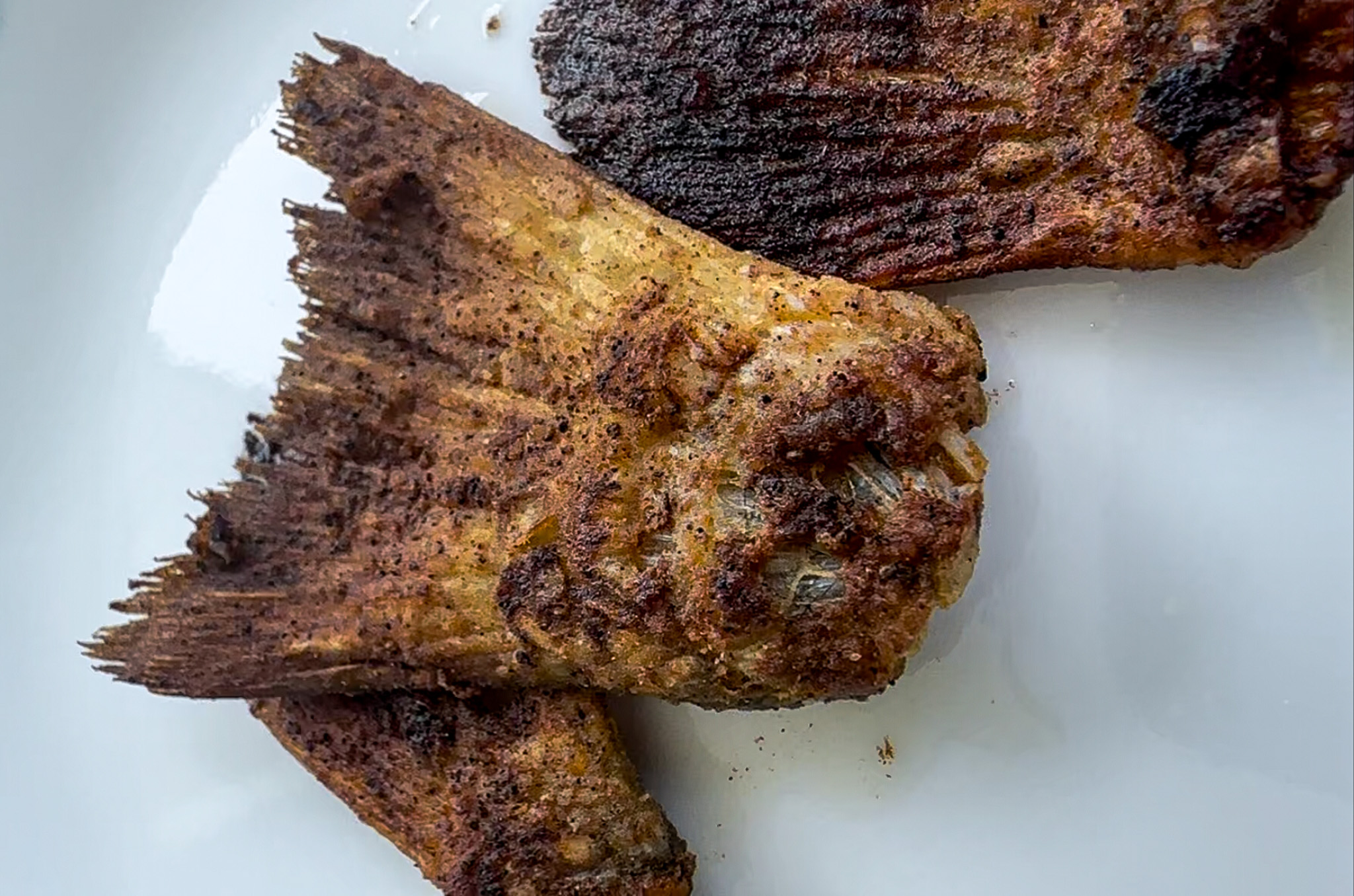 Why You Should Eat Fried Fish Tails