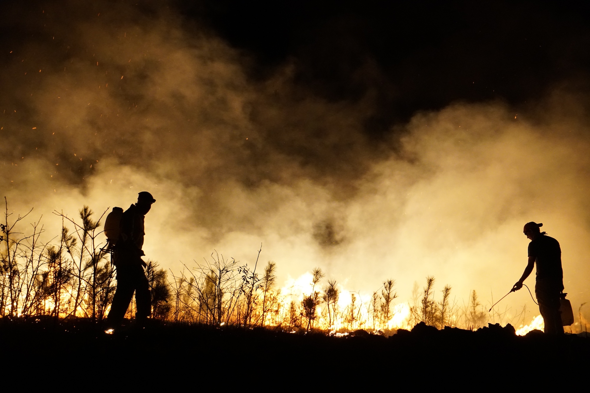 A controlled burn in Kentucky at nighttime.