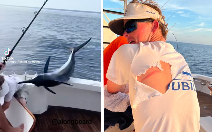 A blue marlin nearly spears a deckhand aboard the Jubilee.