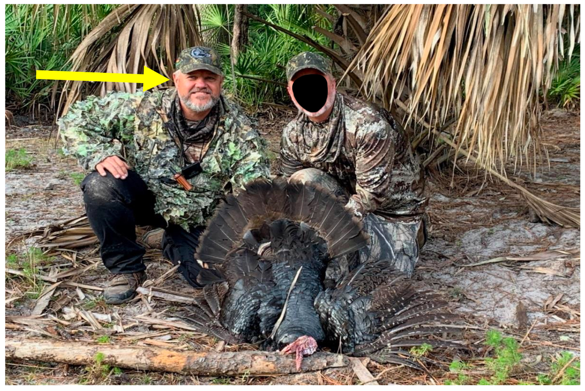 Florida Guides Passed Off Pen-Raised Turkeys as Wild Osceolas to Unsuspecting Hunters, Officials Say