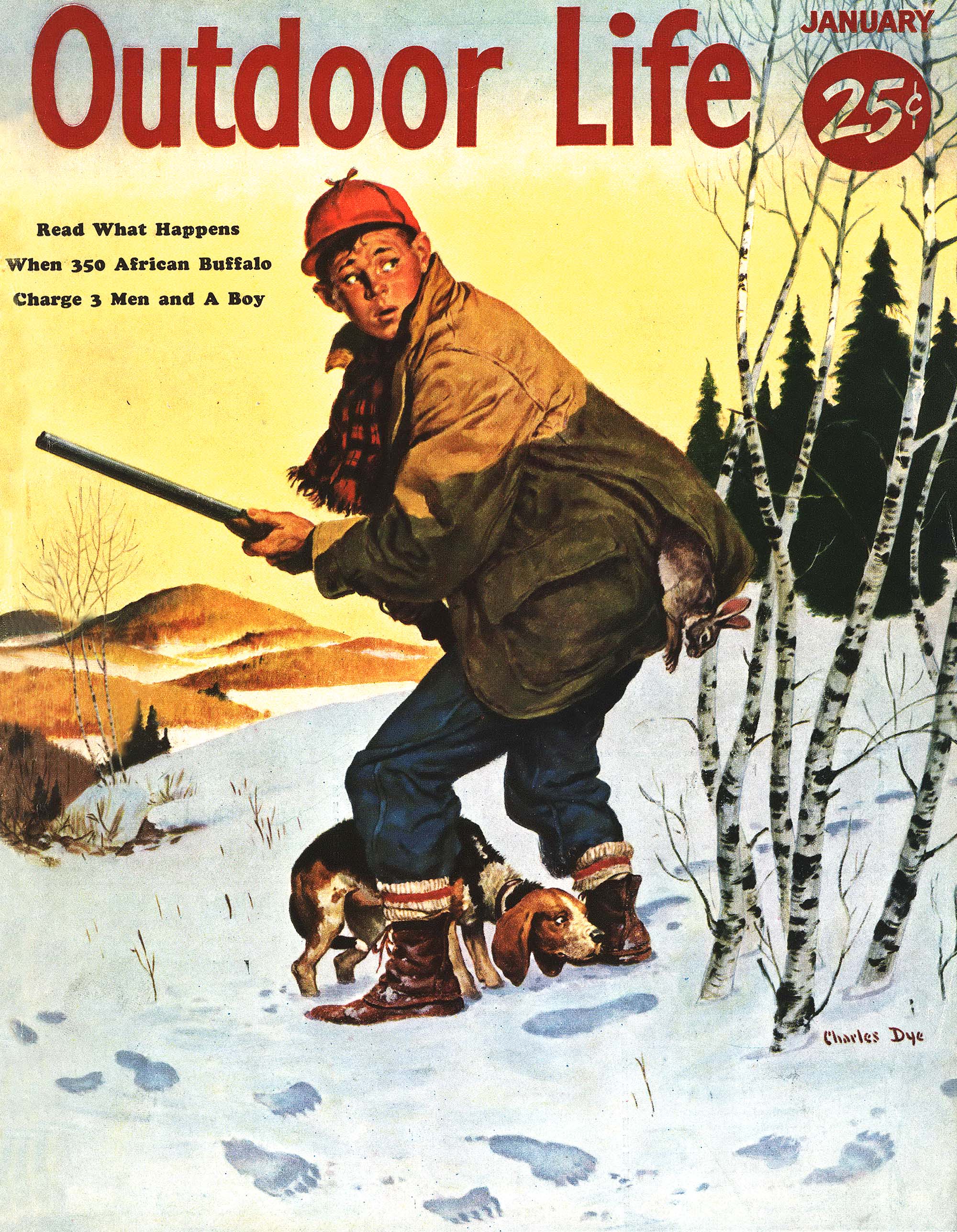 The January 1955 cover of Outdoor Life shows a boy and his beagle near bear tracks.