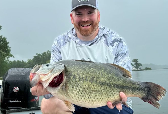 new york record bass