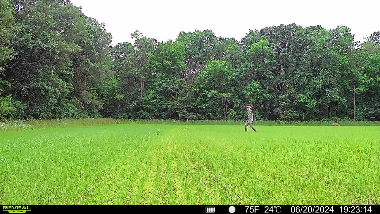 The author conducting the walkthrough test with the Tactacam Reveal cellular trail camera