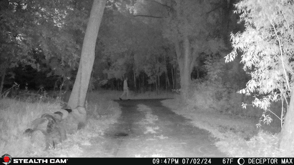 stealth cam deceptor max night photos.