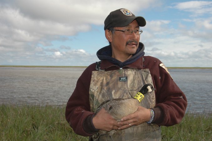 A USFWS biologist with a collared goose.