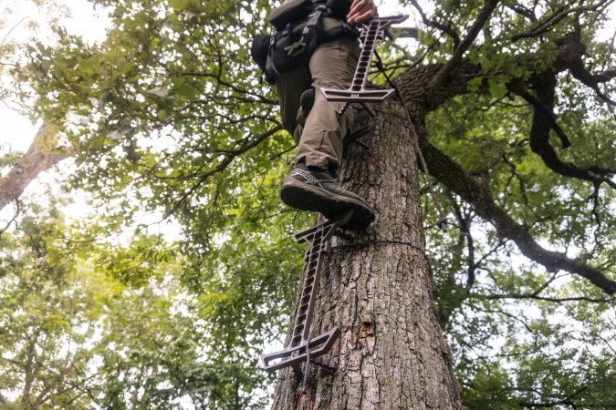 The author climbs a tree using the Trophyline Hyperlite climbing sticks