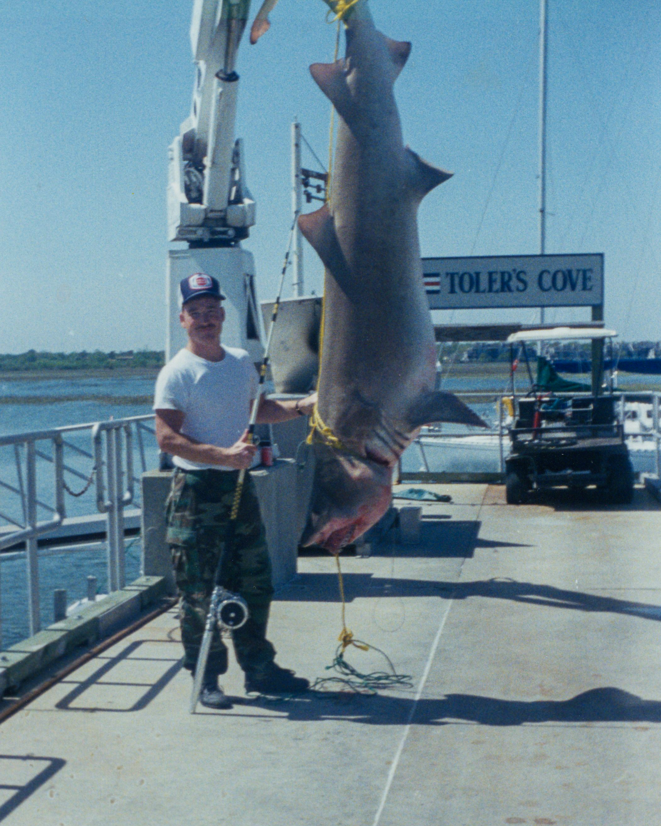 The all-tackle world-record sand tiger shark hangs at a marina.