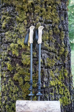  We tested the Alps Mountaineering Alliance trekking poles.