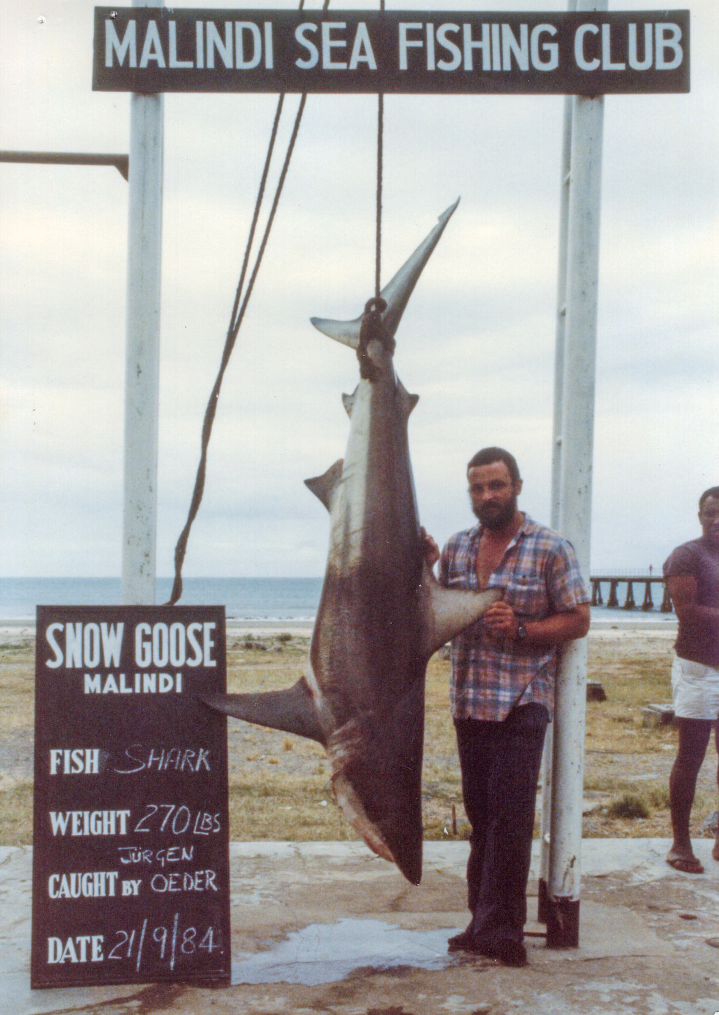 An angler with a blacktip shark.