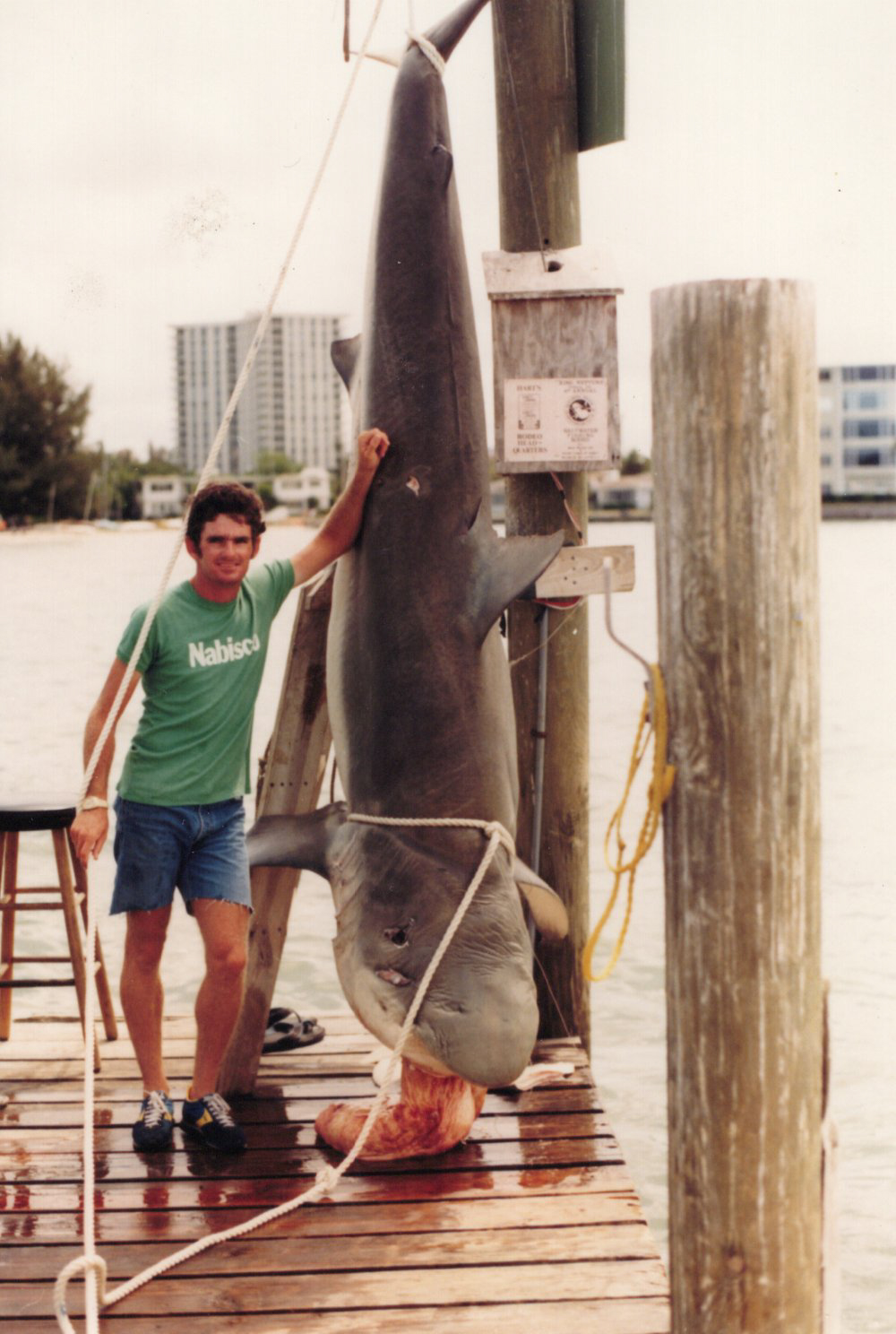 An angler lays a hand on a dusky shark.