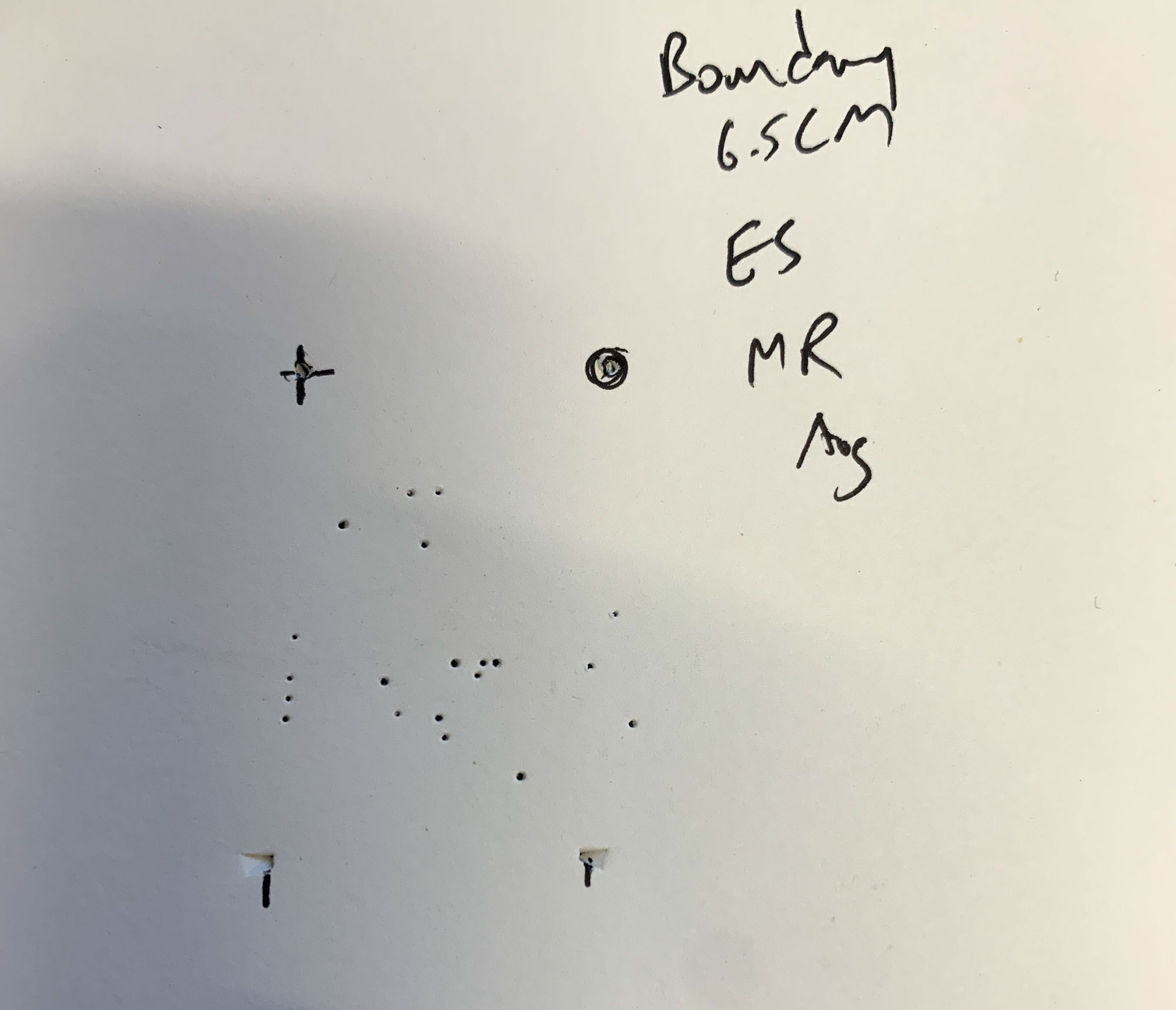 20-shot aggregate group plot for springfield 2020 boundary