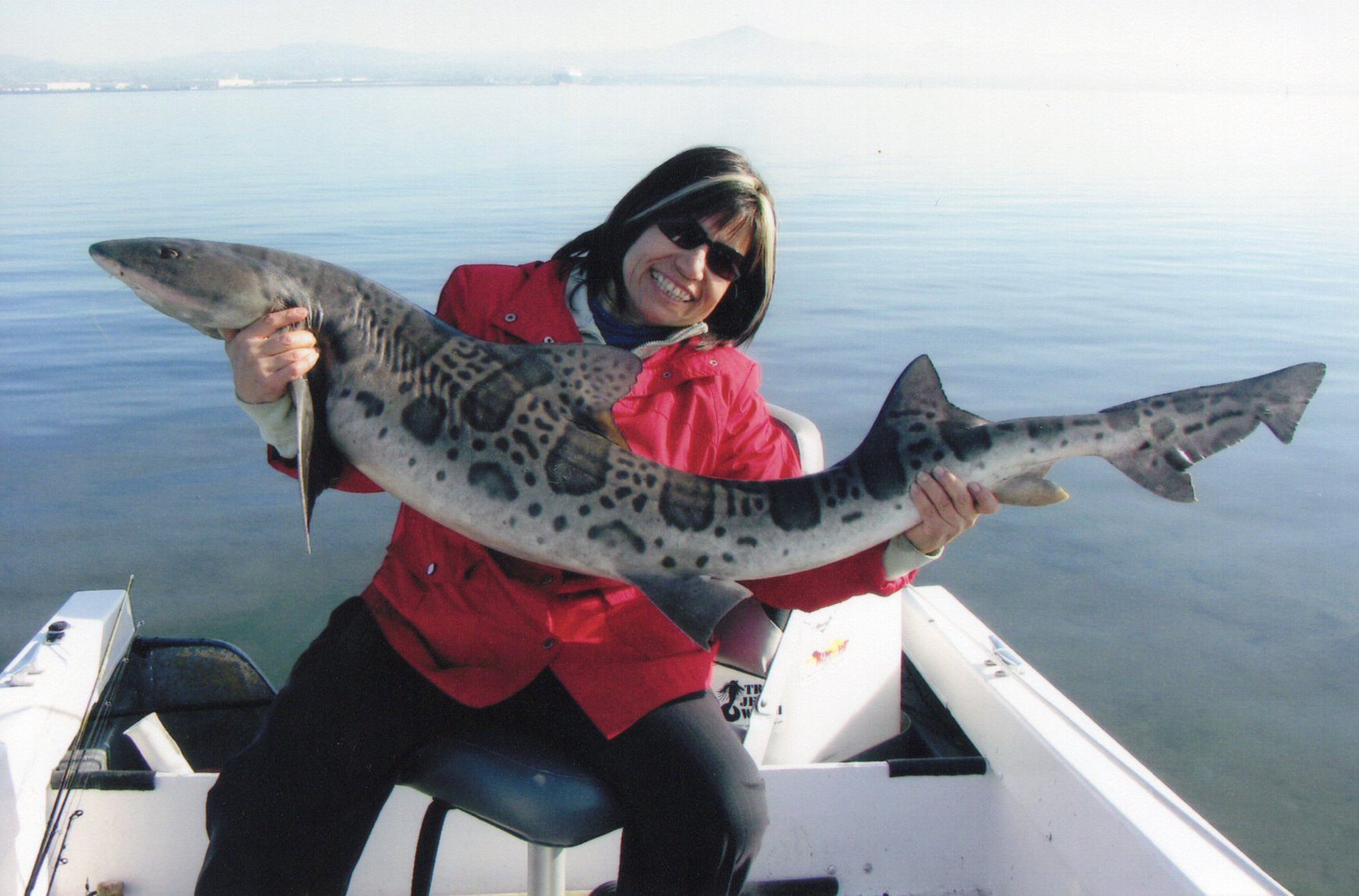 A woman in a red shirt holds up a world record spotted leopard shark on a boat.