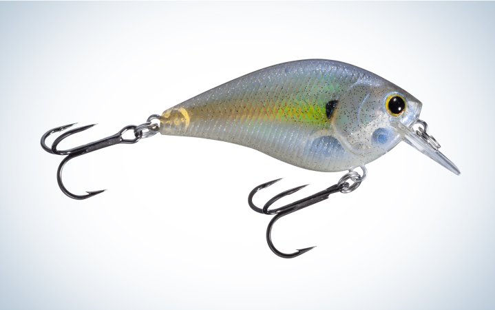  You can get the Lucky Craft Square Bill Crankbait at Bass Pro Shops.