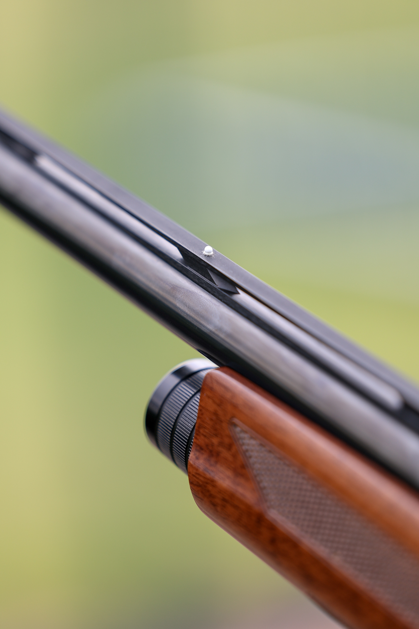 The white mid-rib bead on the Browning A5.