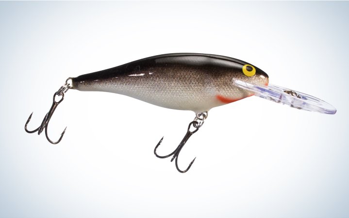  We fished the Rapala Shad Rap.