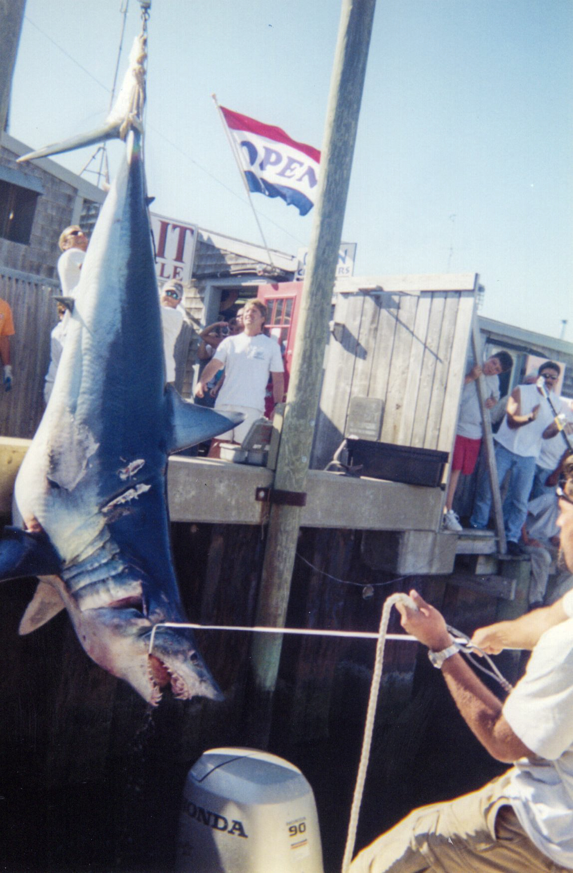 The biggest shortfin Mako shark ever caught, back at the dock.