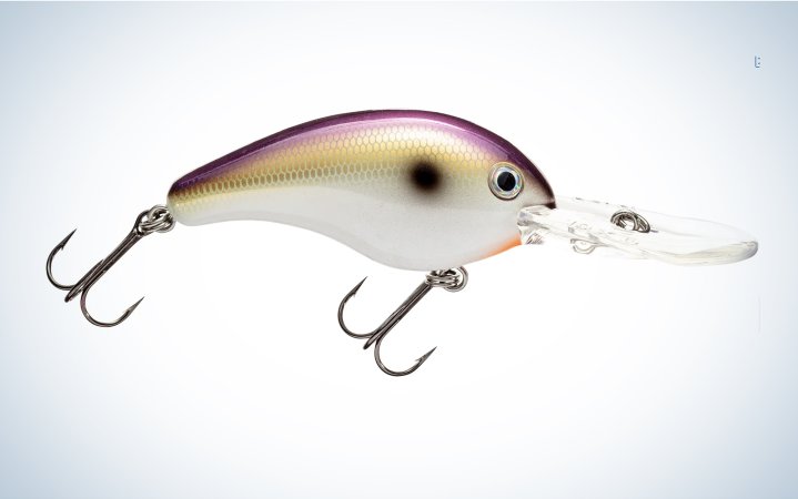  The Strike King 10XD is sold at Bass Pro Shops.