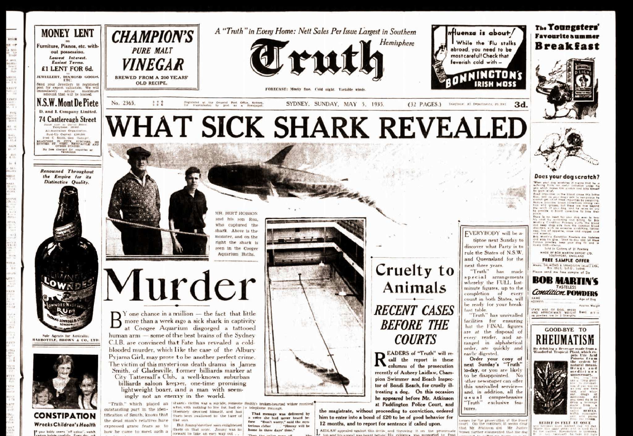 A newspaper headline indicating a shark that revealed a murder victim.