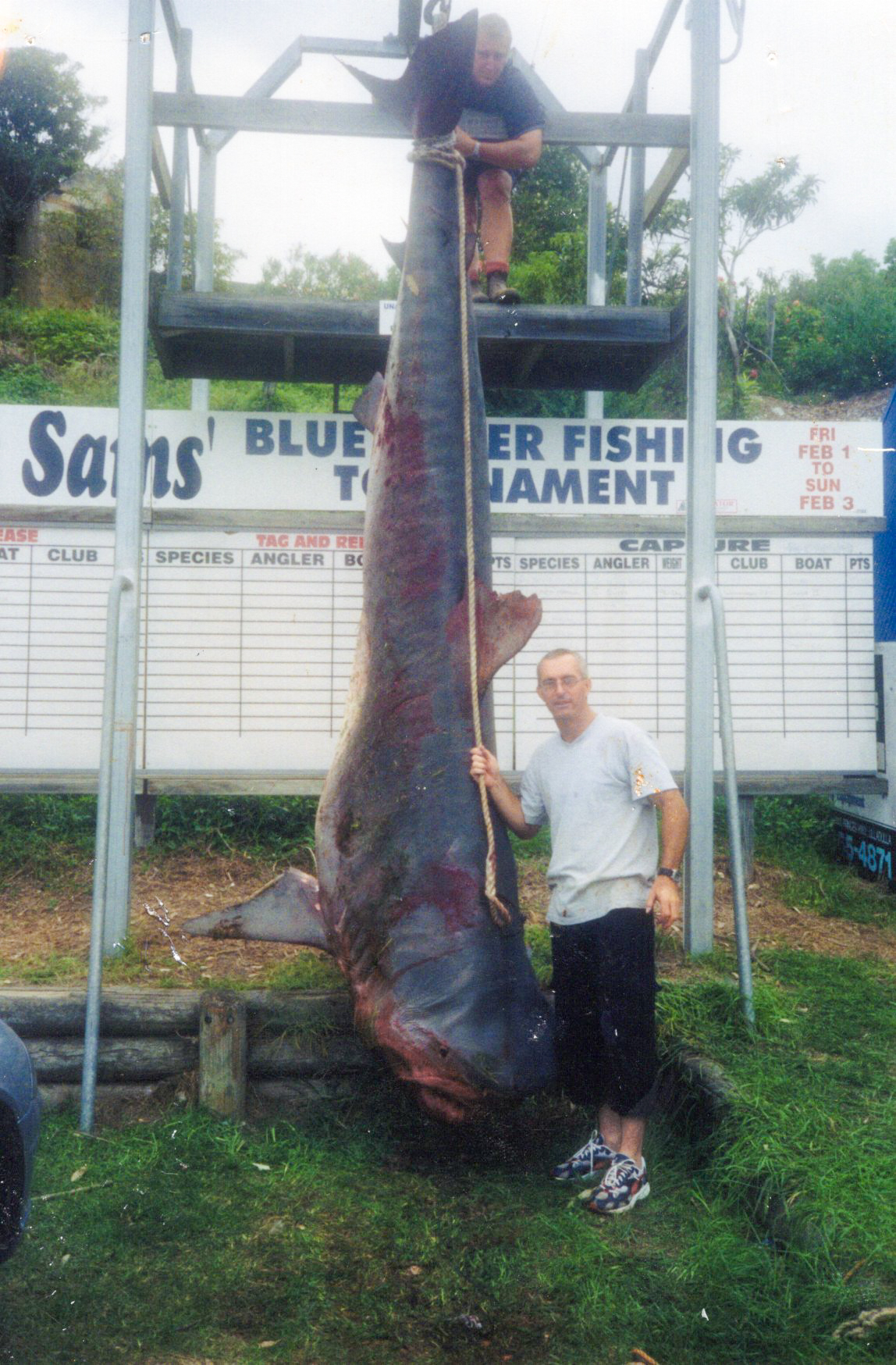 A man stands beside the world-record tiger shark.