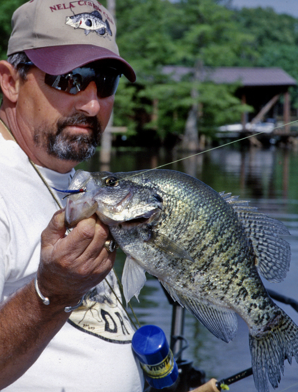 Steve Danna with Louisiana crappie.