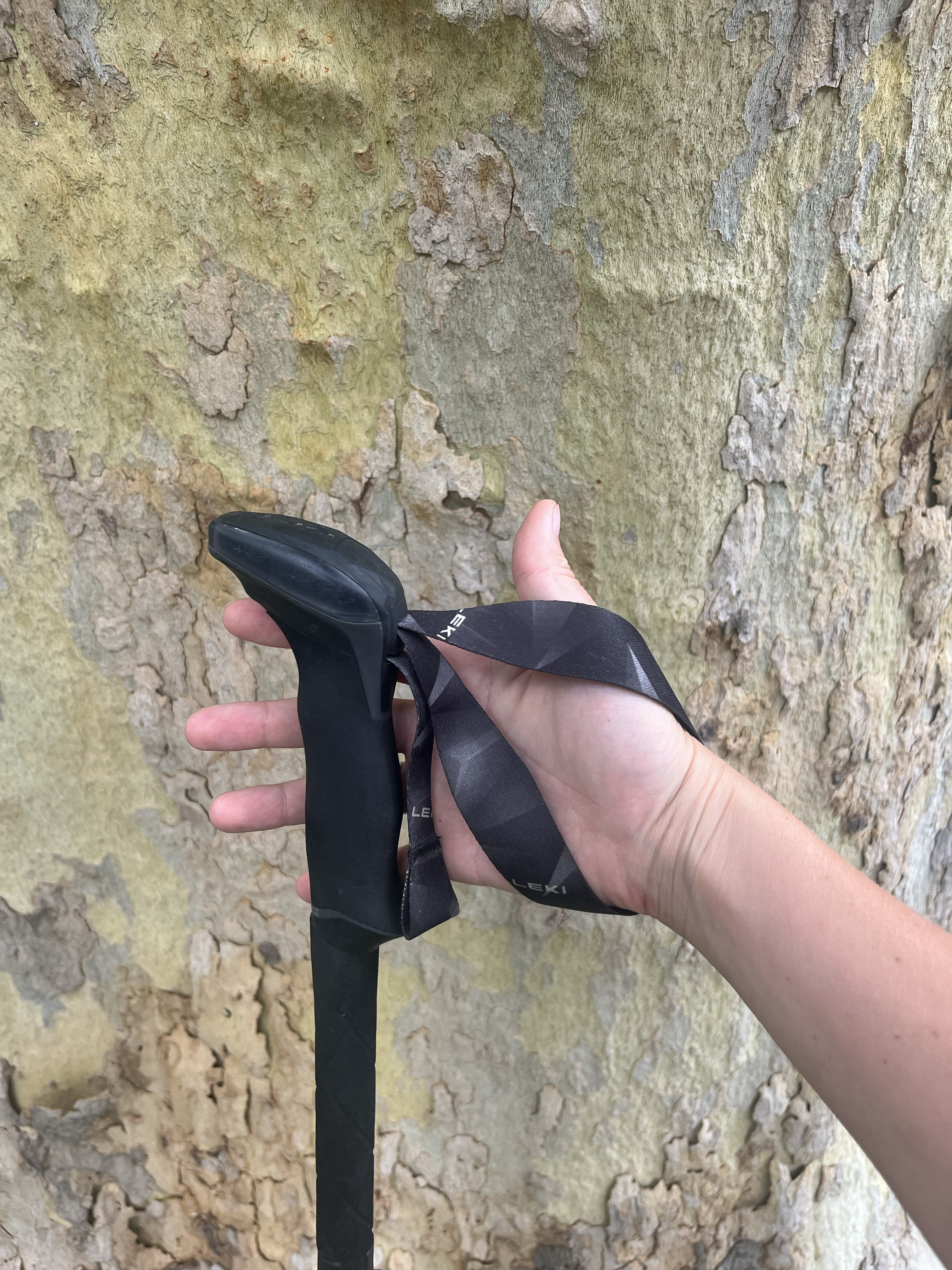 Hiker holds trekking pole with wrist in the strap.