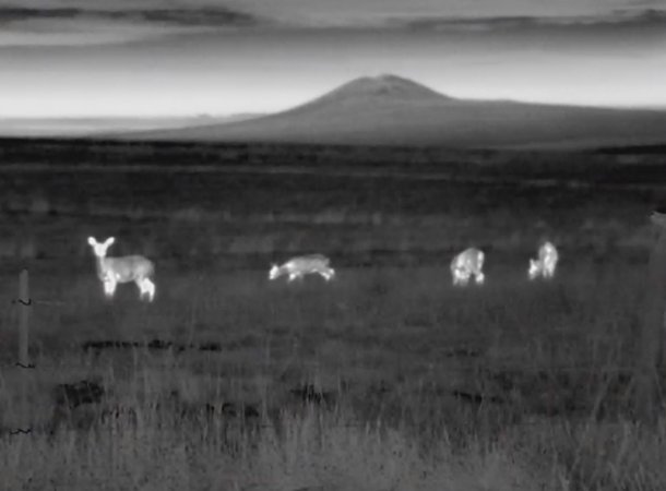 Colorado High Schoolers Invent a Thermal AI Dashcam to Reduce Collisions with Deer