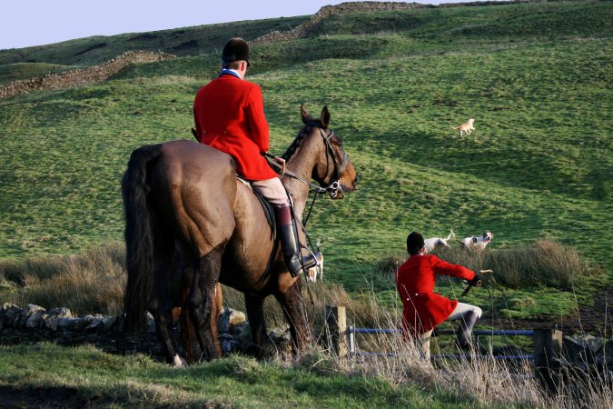 Fox hunters in the UK.