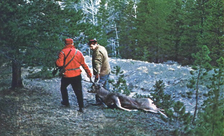 Two old school hunters drag out a mule deer