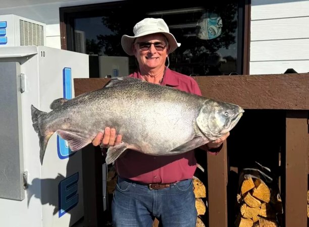 An angler with a big chinook salmon caught in Montana.