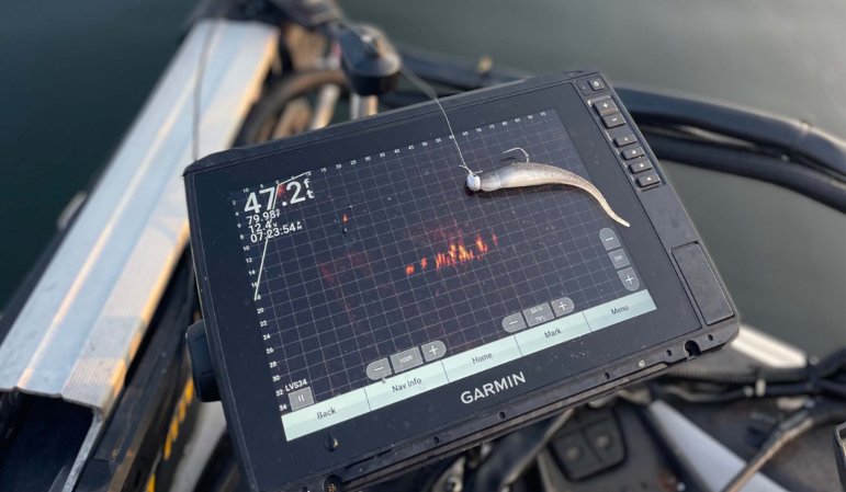 Everything you need to know to catch bass on a strolling rig