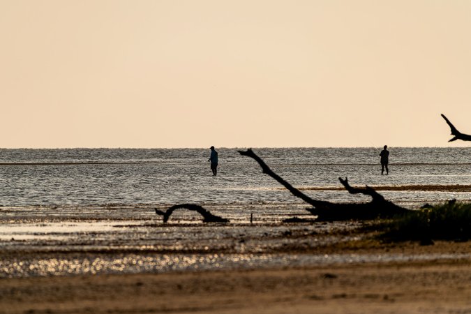 Wade fishermen on Gulf Coast.