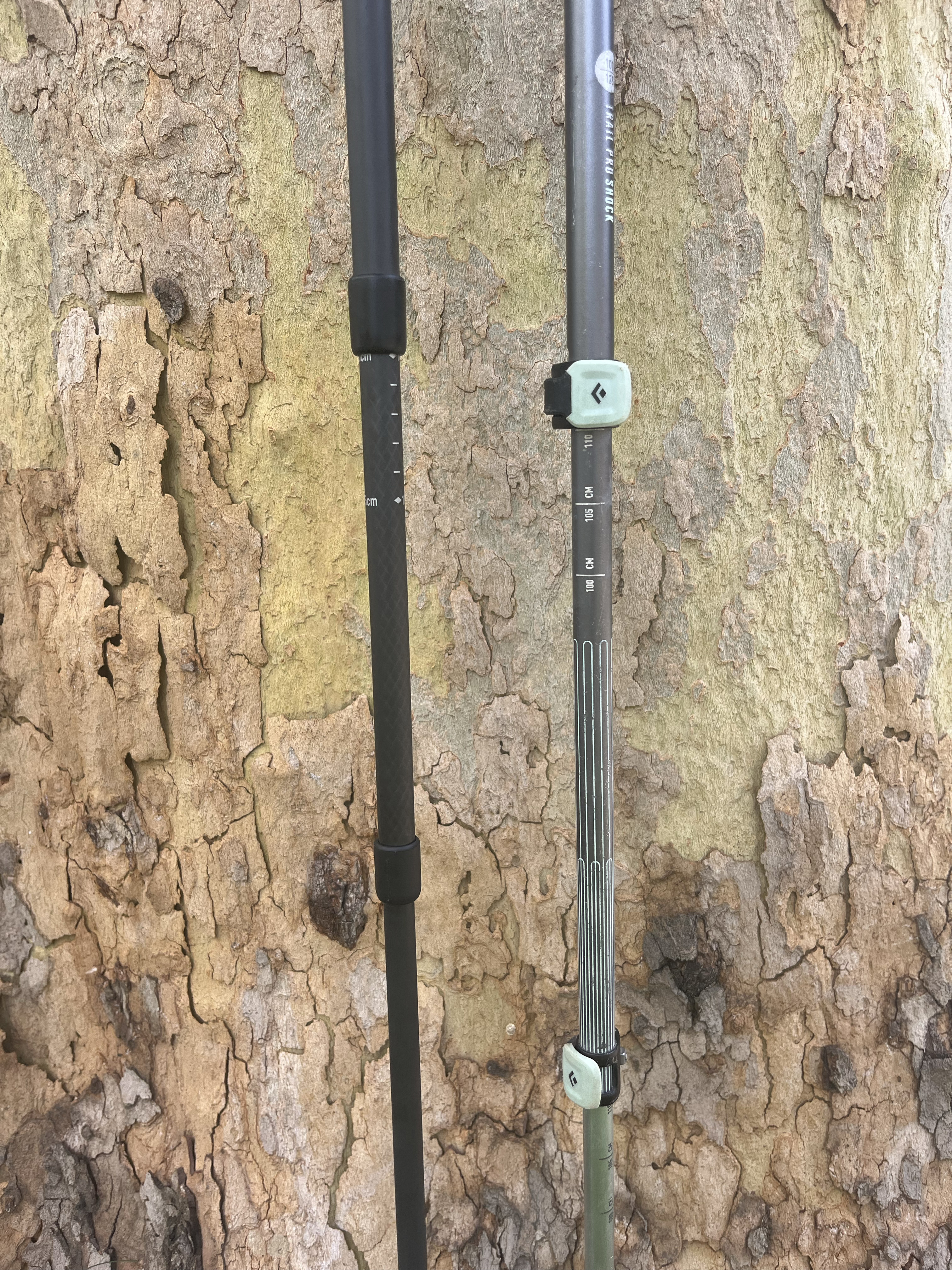 Two trekking poles with different locking mechanisms lean against a tree.